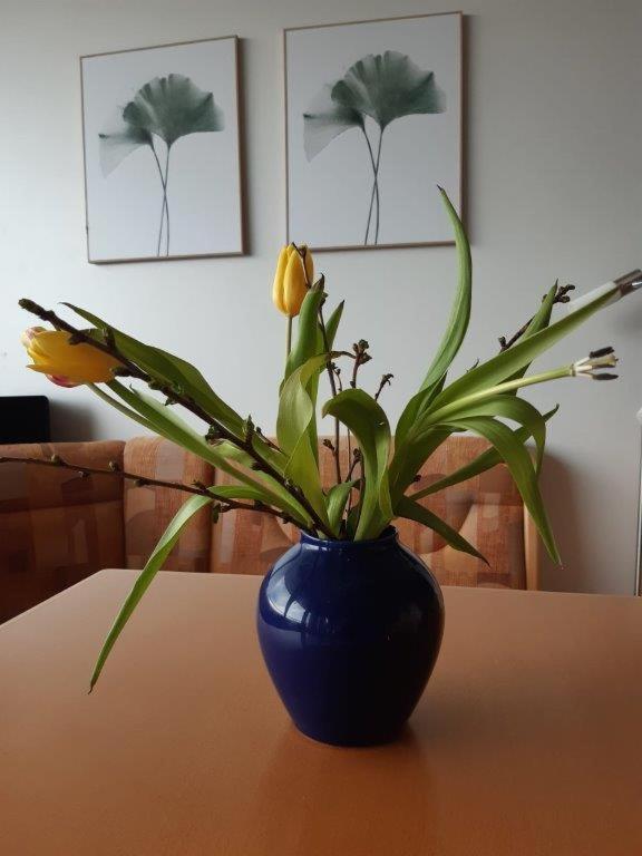 Ferienzentrum Bodensee Oberteuringen Dış mekan fotoğraf