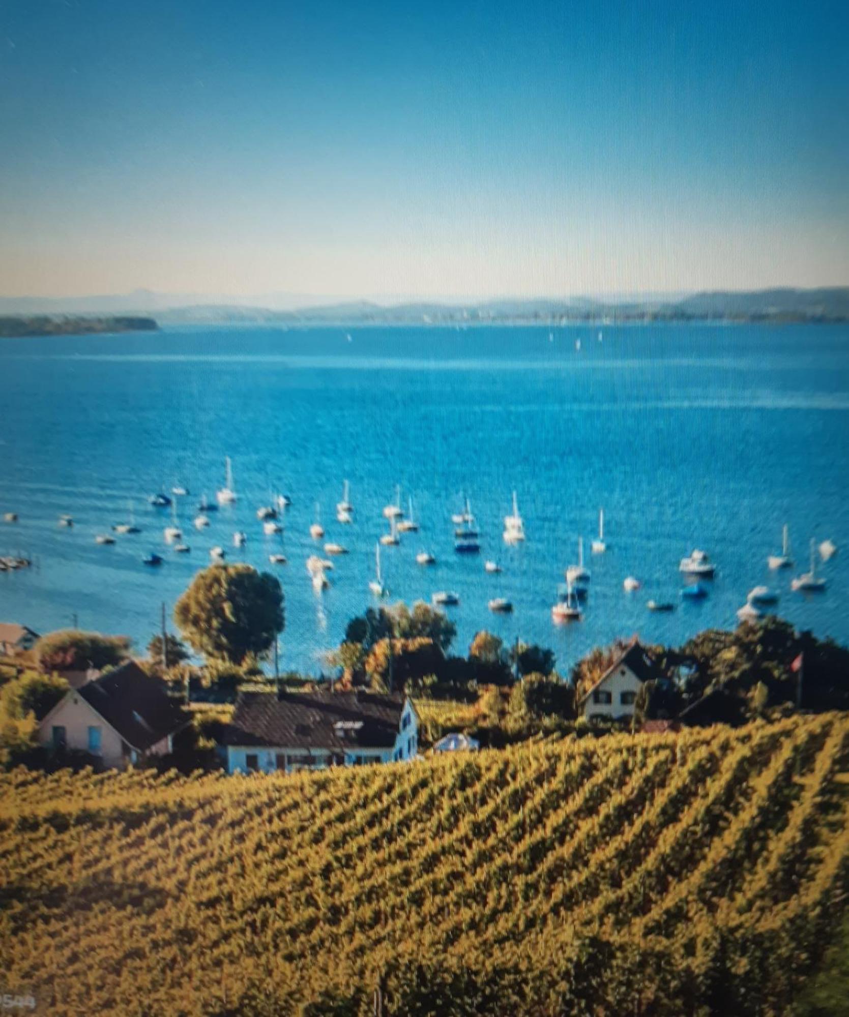 Ferienzentrum Bodensee Oberteuringen Dış mekan fotoğraf
