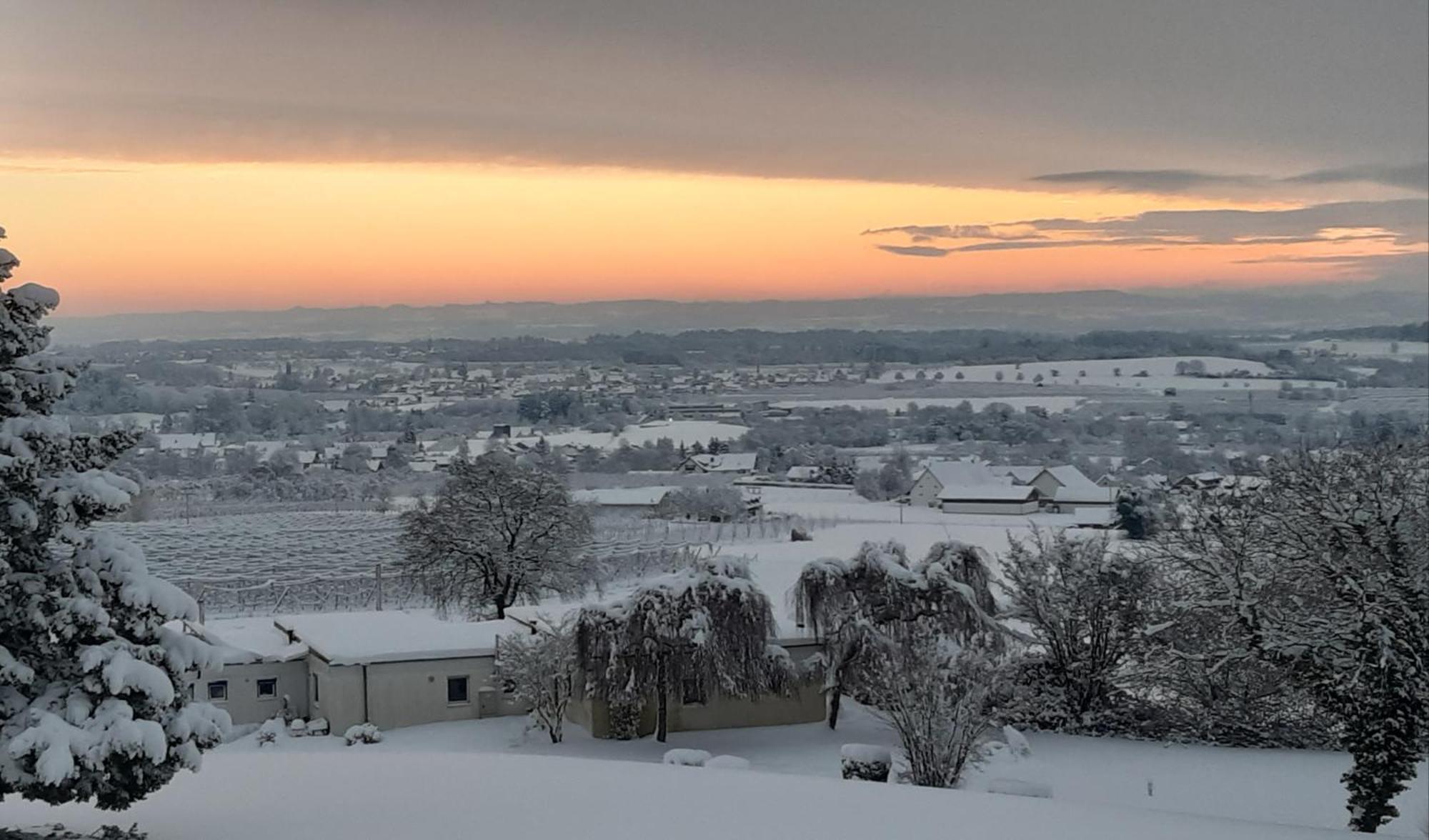 Ferienzentrum Bodensee Oberteuringen Dış mekan fotoğraf